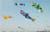 Kites in shapes and colours at Panambur beach Jan 16 & 17